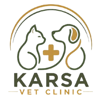 KARSAVET